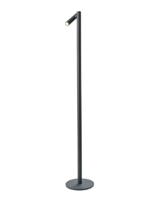 standing lamp