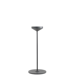 PINA STAND SUPPORT